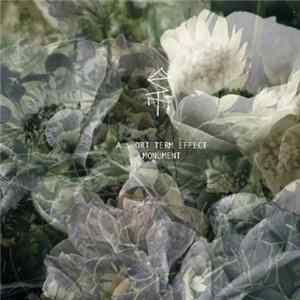 A Short Term Effect - Monument Album