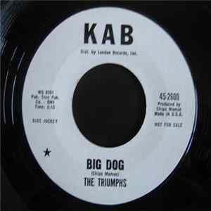 The Triumphs - Big Dog / Humid Album