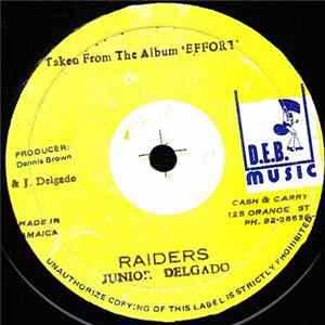 Junior Delgado - The Raiders / Raid On Luke Land Album