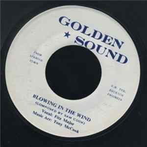 Fitz Major - Blowing In Wind Album