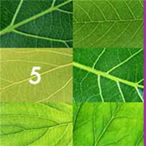 No. 5 - No. 5 Album