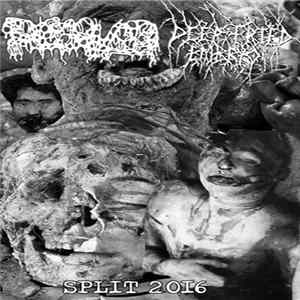 Dissolved , Deep Fried Embryo - Split 2016 Album
