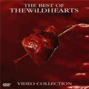The Wildhearts - The Best Of The Wildhearts ~ Video Collection Album