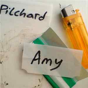 Pilchard - Amy Album