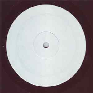 System X - Feel It Album