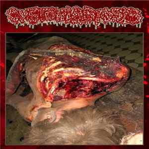 Cystoblastosis, Ingrown - Live In Les Hall 07.05.2016 / Untitled - Split tape Album