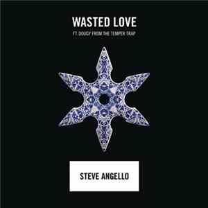 Steve Angello Feat. Dougy - Wasted Love Album