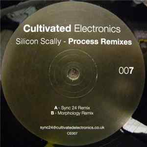 Silicon Scally - Process Remixes Album