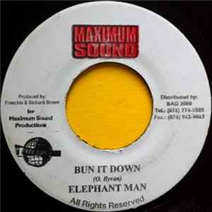 Elephant Man - Bun It Down Album