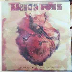 Libido Fuzz - Kaleido Lumo Age Album
