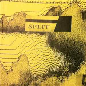 Skelton 93 vs. Tremor - Split Album