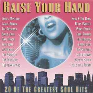 Various - Raise Your Hand / 20 Of The Greatest Soul Hits Album