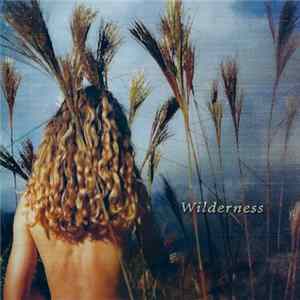 Sophie B. Hawkins - Wilderness Album