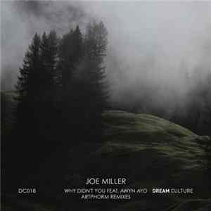 Joe Miller - Why Didn't You Album