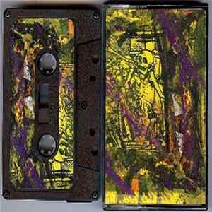 Shalocins - City Jungle Disorder Album