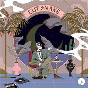 Cut Snake - Dr. Um's Party Tutorial Album