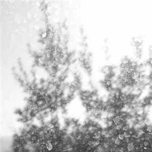 Chihei Hatakeyama - Void II Album