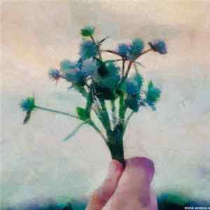 Blank Embrace - Gentle Touch Album