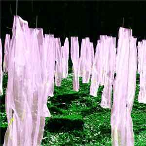 Jim O'Rourke - Steamroom 32 Album