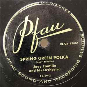 Joey Tantillo and his Orchestra - Spring Green Polka / Milwaukee Polka Album
