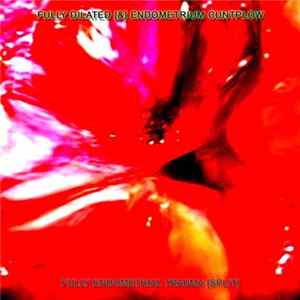 Fully Dilated & endometrium cuntplow - Fully Endometrial Trauma [Split] Album