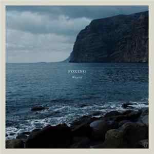 Foxing - Weave Album