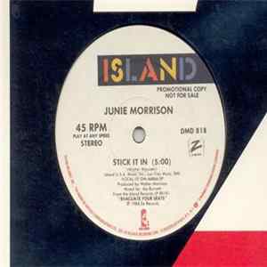 Junie Morrison - Stick It In Album