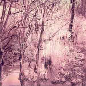 Esben And The Witch - Violet Cries Album