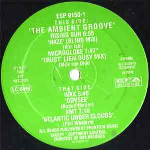 Various - The Ambient Groove Album
