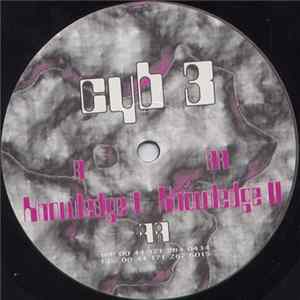 Cyberchotic - Knowledge I / Knowledge II Album