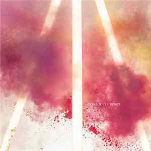 Son Lux - Bones Album