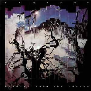Bauhaus - Burning From The Inside Album