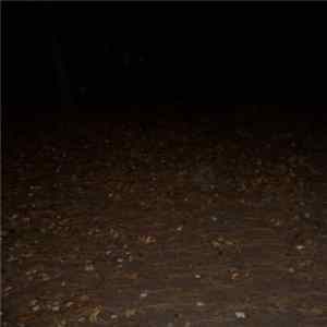 Vhom - Borley Rectory Album