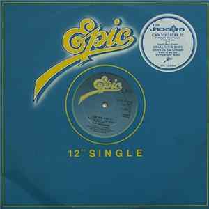 The Jacksons - Can You Feel It / Shake Your Body / Wondering Who Album