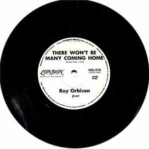 Roy Orbison - There Won't Be Many Coming Home/City Life Album