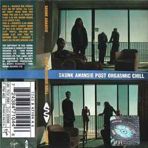 Skunk Anansie - Post Orgasmic Chill Album