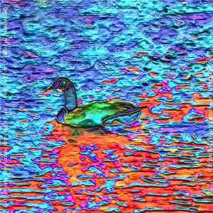 Deterioro Nervioso Irreversible / Contraktor / ☠skullnbones☠ - Tripping Unto Sounds Ov Color Part 6 Album