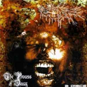 Cuff - The Process Of Decay Album