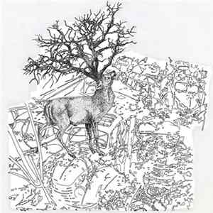 St. Plomb - Wild At Heart Album