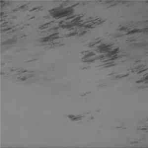 Chlorine Gargle - Object Of Servility Album