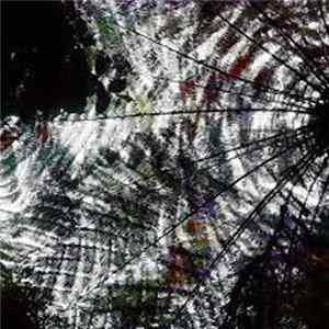 Kult Country - Slowburn / ATDF Album