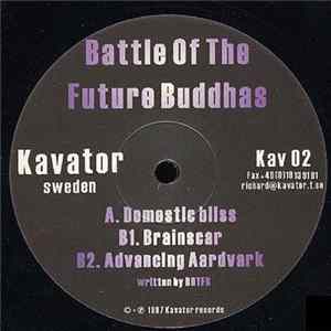 Battle Of The Future Buddhas - Domestic Bliss / Brainscar / Advancing Aardvark Album