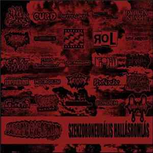 Various - Szenzoroneurális Halláskárosodás Album