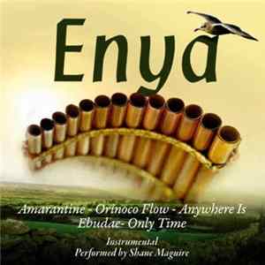 Shane Maguire - The Very Best Of Enya On Panpipes Album