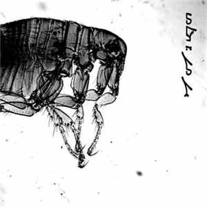 ܢܘܠܐ ܕܓܘܓܝ - Serm((O))n Album