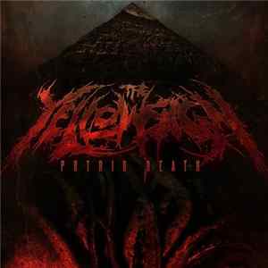 The Yellow Sign - Putrid Death (2007-2010) Album