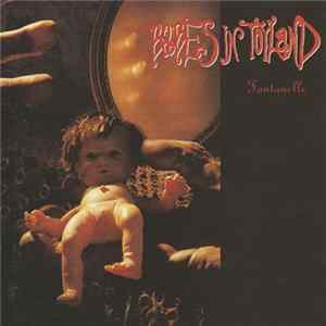 Babes In Toyland - Fontanelle Album