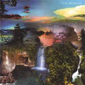 Tortoise - It's All Around You Album
