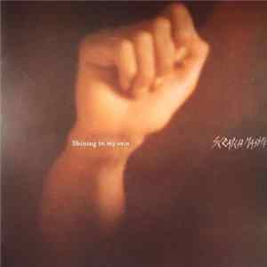 Scratch Massive - Shining In My Vein Album