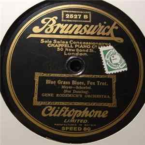 Gene Rodemich's Orchestra - You Darling You / Blue Grass Blues Album